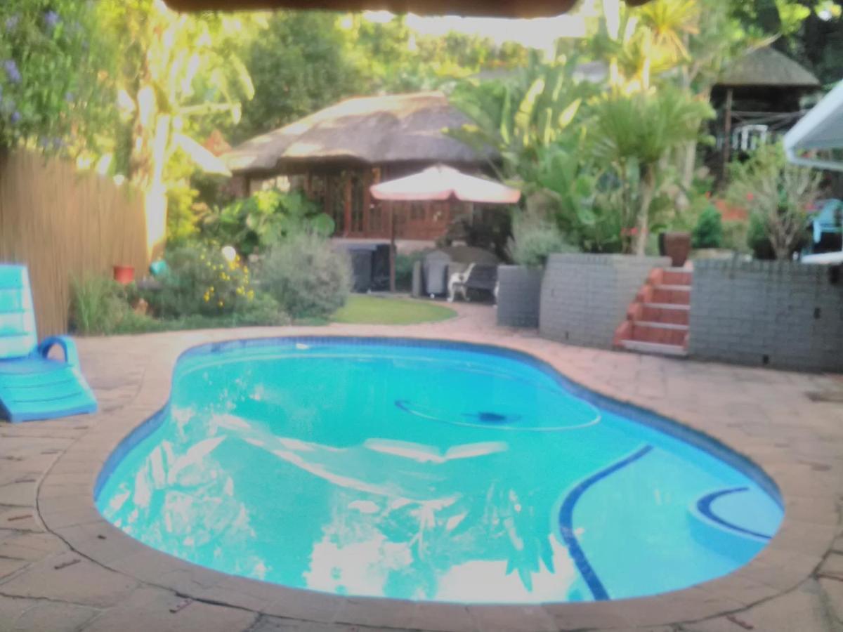 파인타운 Thrush Nest Durban B&B 외부 사진