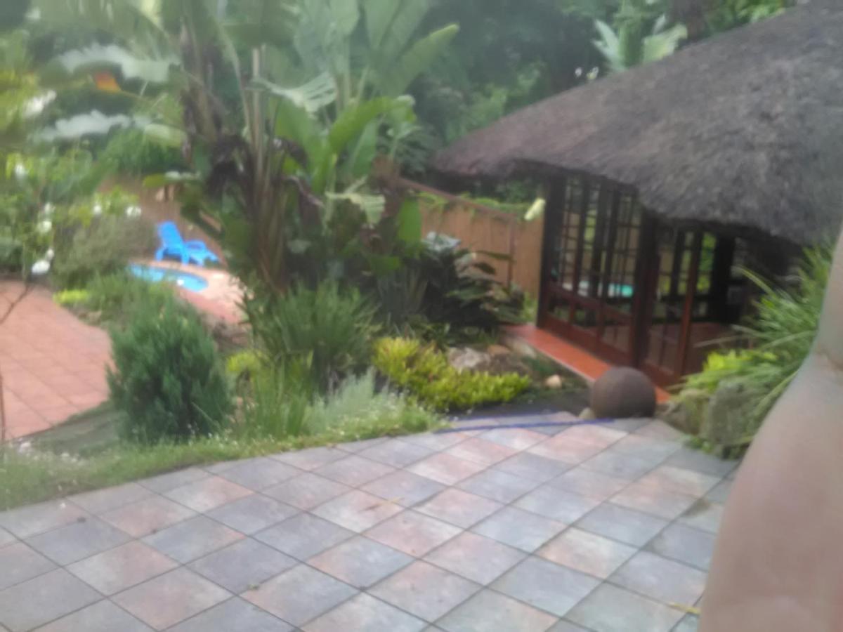 파인타운 Thrush Nest Durban B&B 외부 사진
