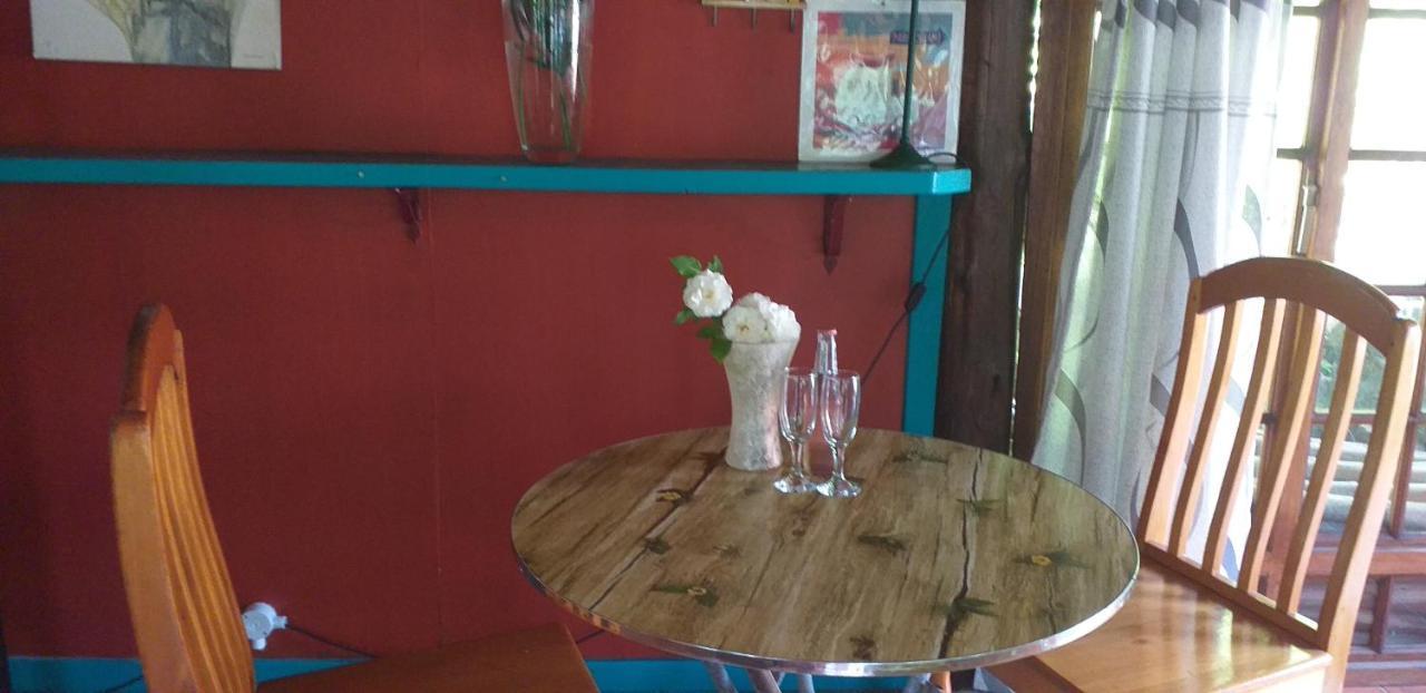 파인타운 Thrush Nest Durban B&B 외부 사진