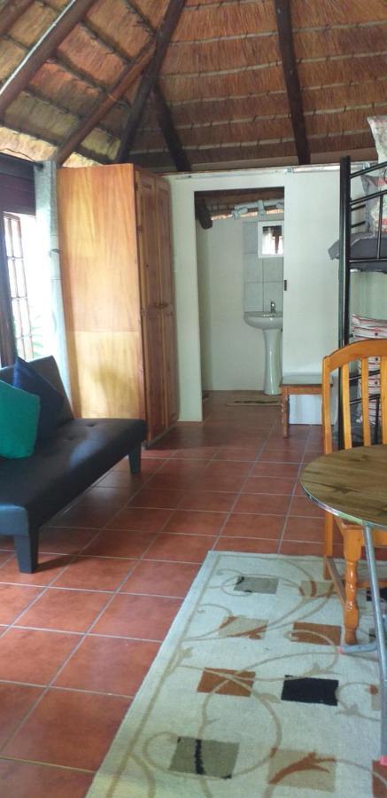 파인타운 Thrush Nest Durban B&B 외부 사진
