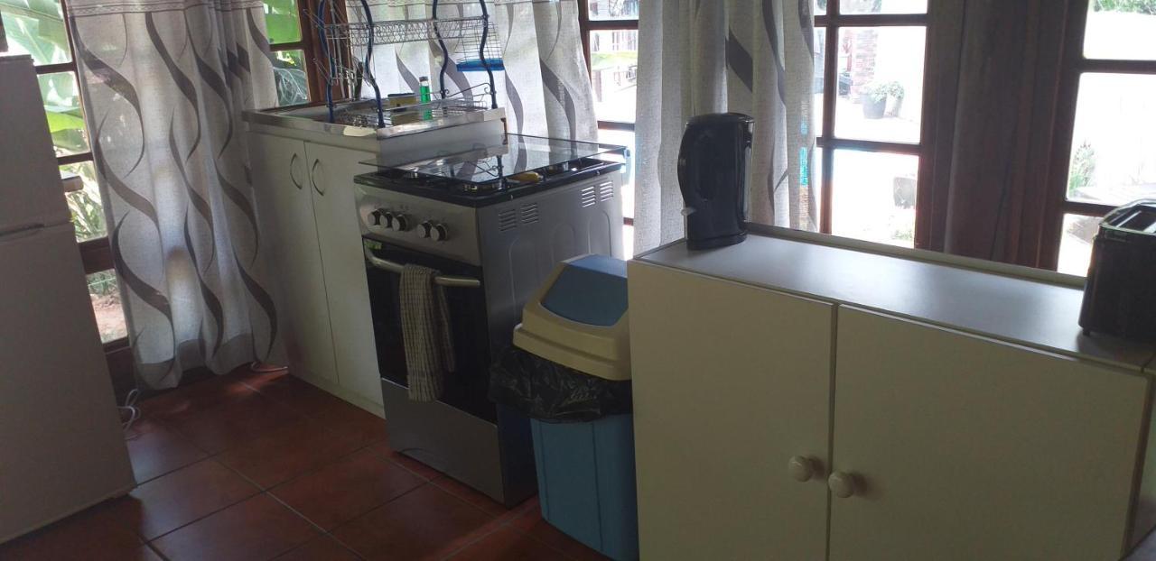 파인타운 Thrush Nest Durban B&B 외부 사진