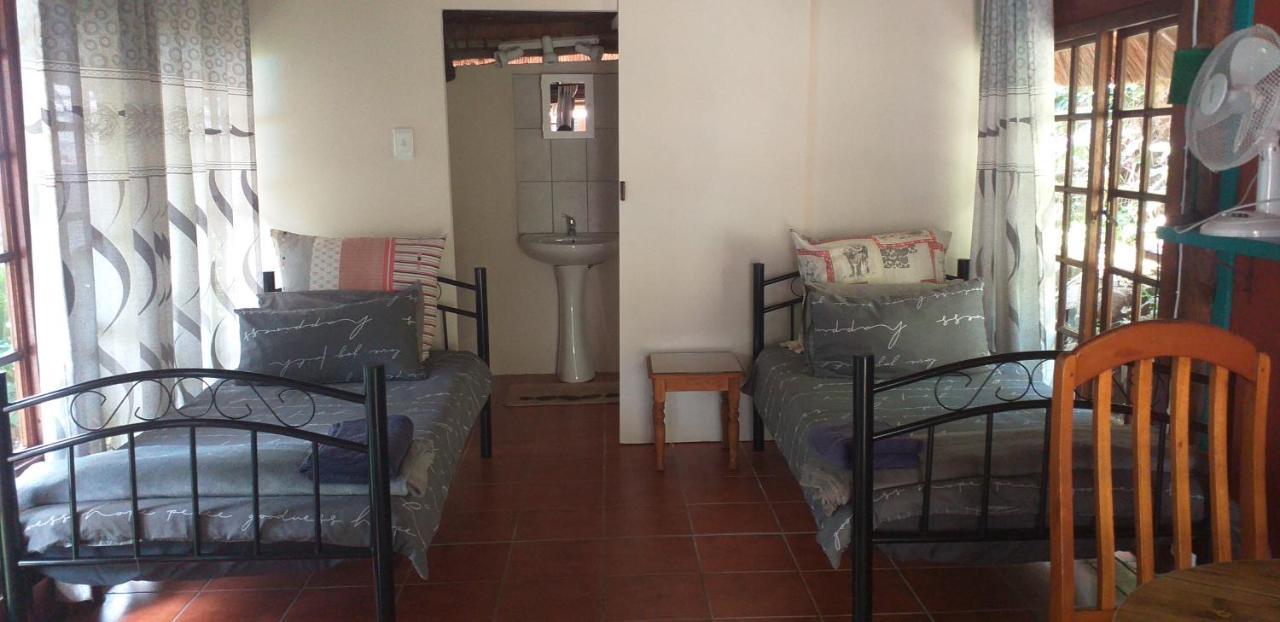 파인타운 Thrush Nest Durban B&B 외부 사진