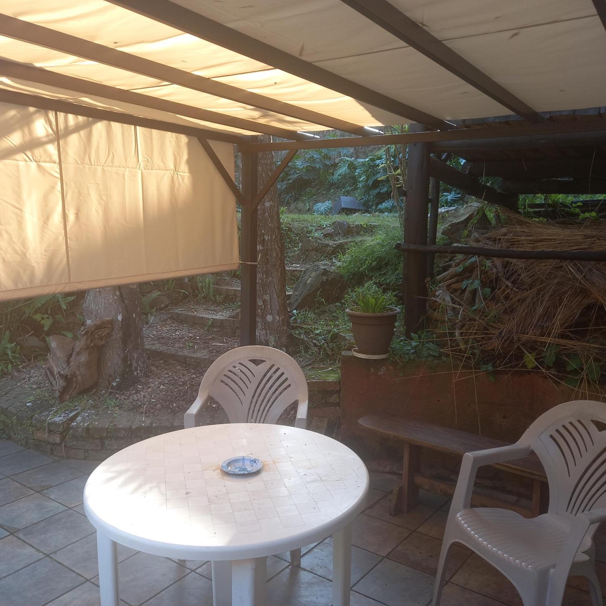 파인타운 Thrush Nest Durban B&B 외부 사진