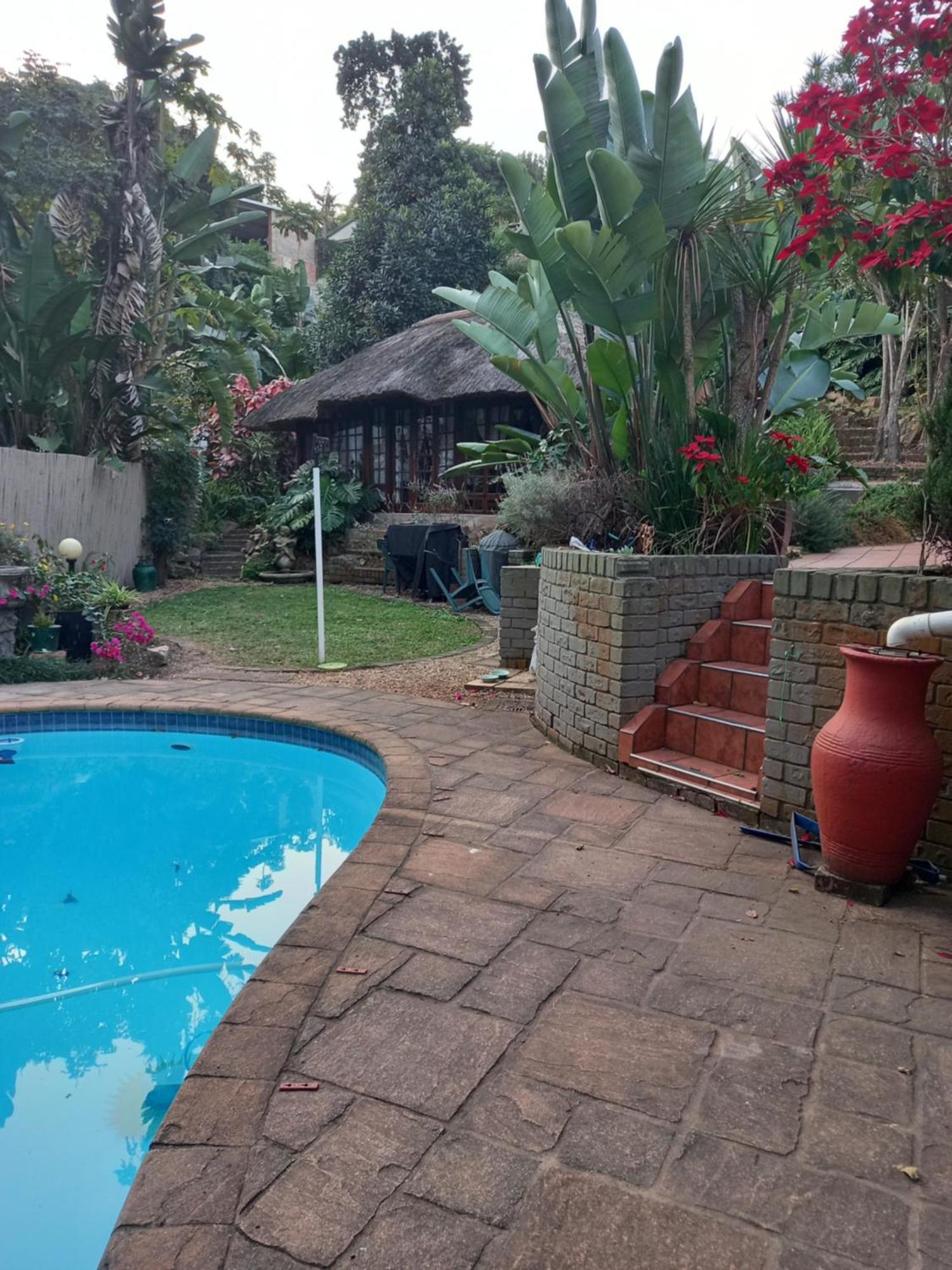 파인타운 Thrush Nest Durban B&B 외부 사진