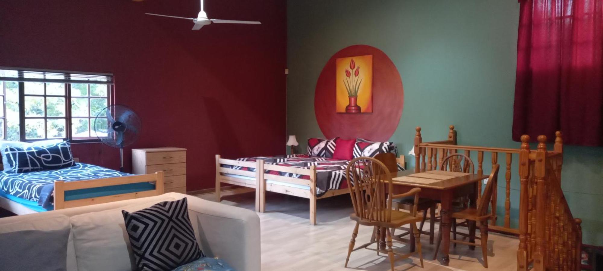 파인타운 Thrush Nest Durban B&B 외부 사진