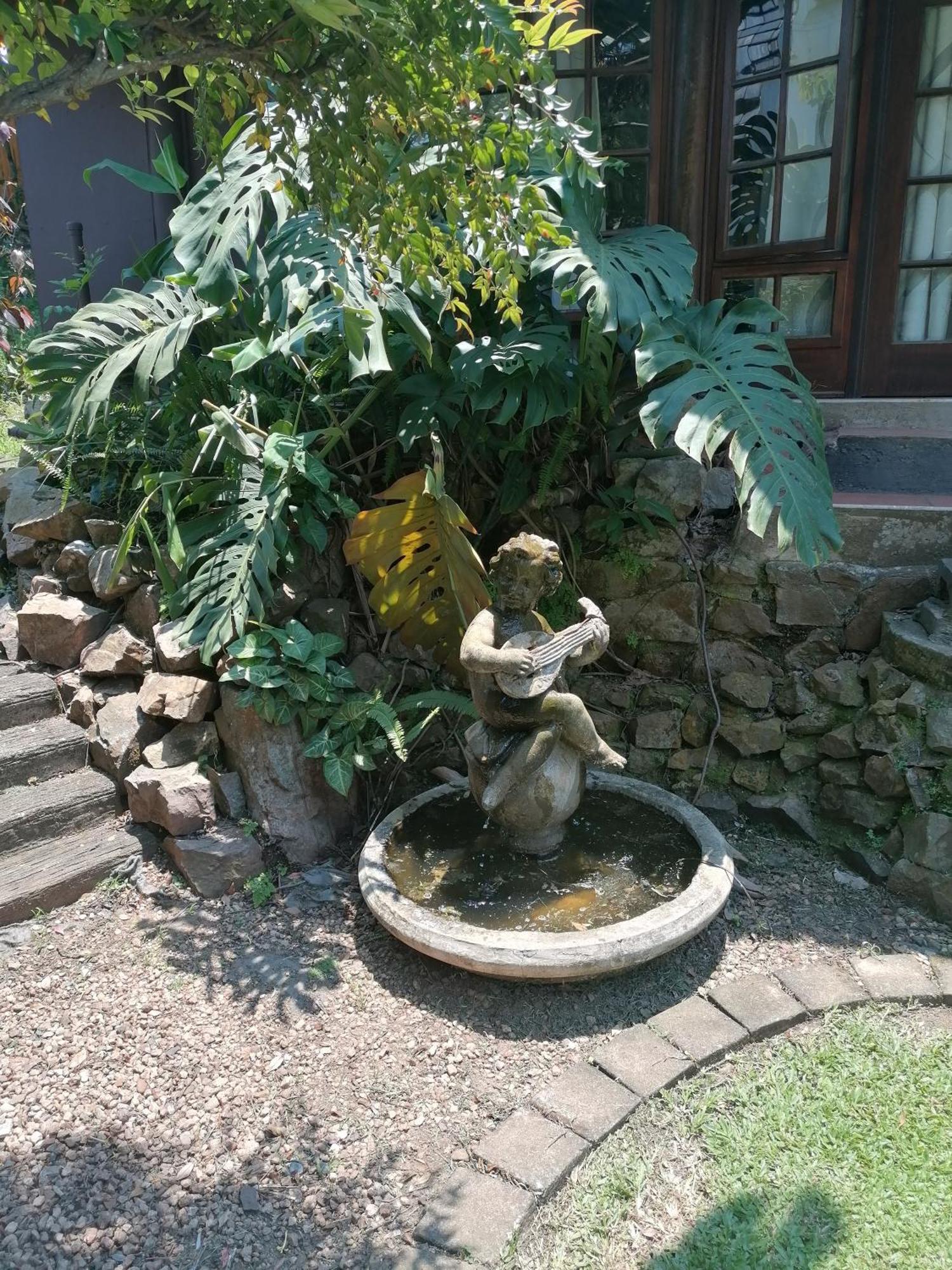 파인타운 Thrush Nest Durban B&B 외부 사진